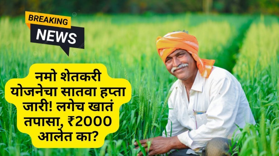 Namo shetkari yojana